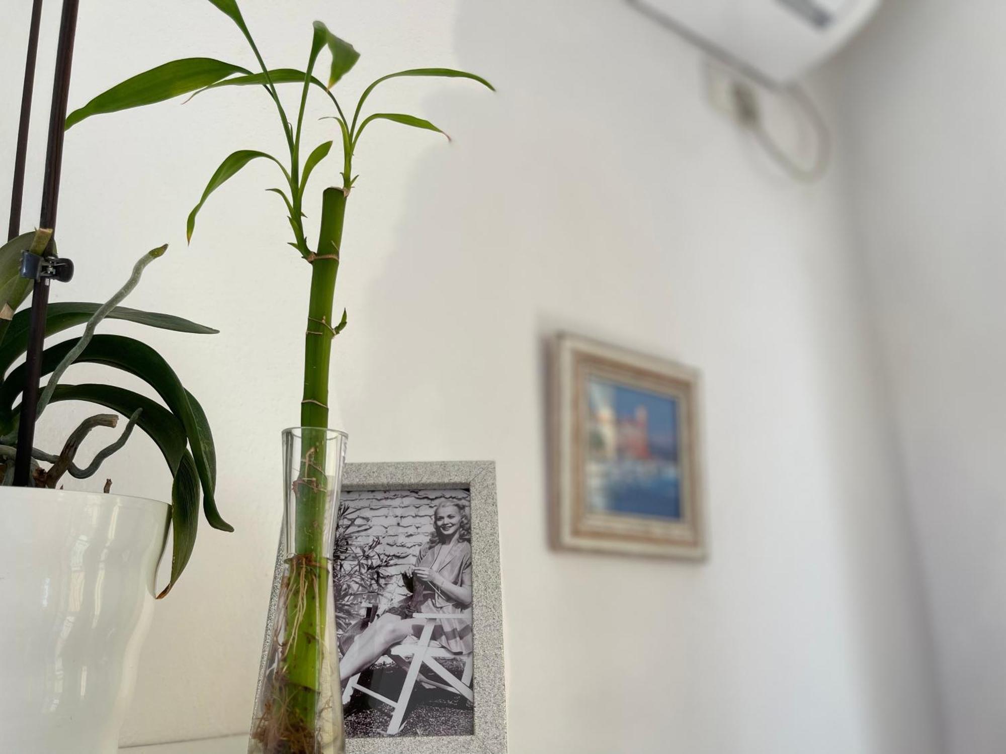 Kristi Apartment 2 Min To Sea Netflix & Espresso Station Sarandë エクステリア 写真